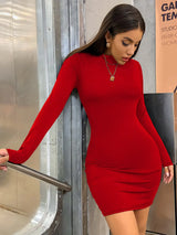 Aurora Turtleneck Mini Dress