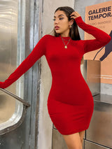 Aurora Turtleneck Mini Dress