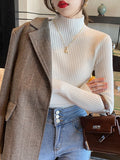 Luxe Turtleneck Sweater